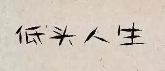 低头 人生