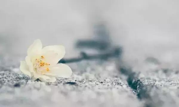 明天开始,善待身边每一个人 明天开始,善待身边每一个人