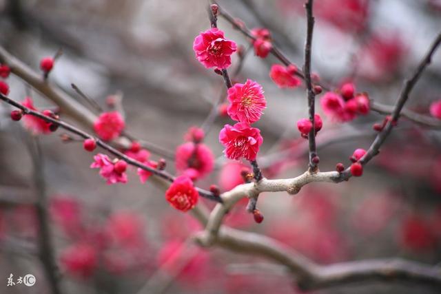 人再厉害，也不会永远风光；再窝囊，也有灵光一闪，不要看轻自己