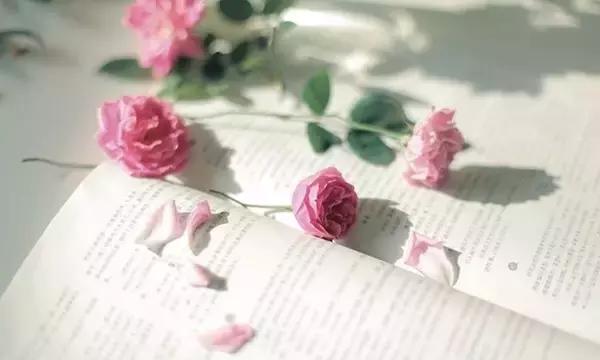 还未细算,人生已过半 还未细算,人生已过半