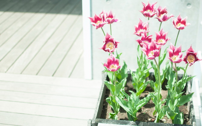 让你相见恨晚的网络经典语录 让你相见恨晚的网络经典语录