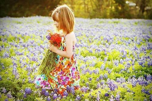 人生感悟：开心地活着，如花自然开，自然落，不必难过