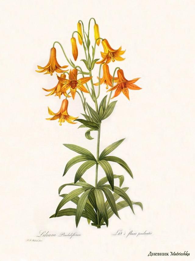 20条非常精辟的一句话经典语录,句句大实话 20条非常精辟的一句话经典语录,句句大实话