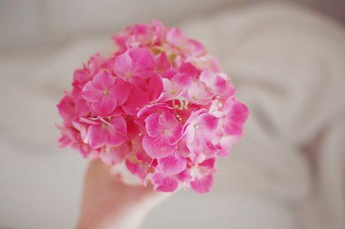 世界如沙，心若不动，风又奈何；情若不伤，岁月无恙