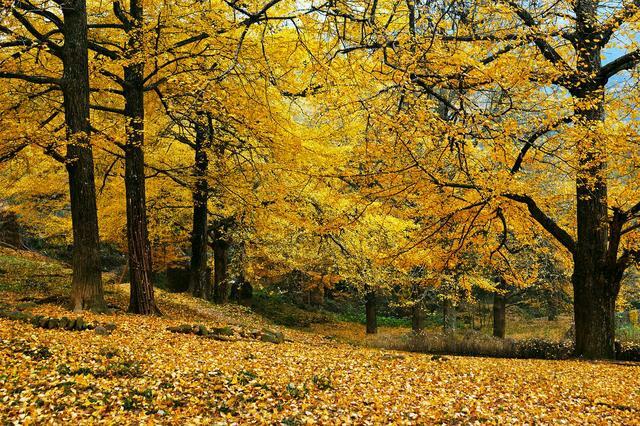 人生,简单一点好 人生,简单一点好