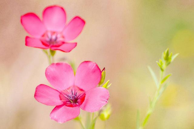 不想跌倒的最好办法