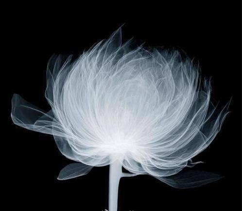 朋友圈正能量语录，喜欢就收藏