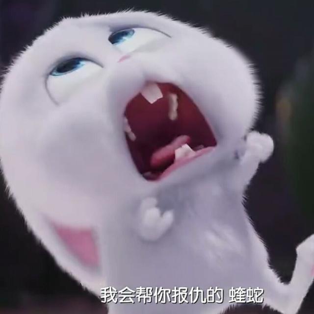 经典搞笑语录，这鸡汤有毒
