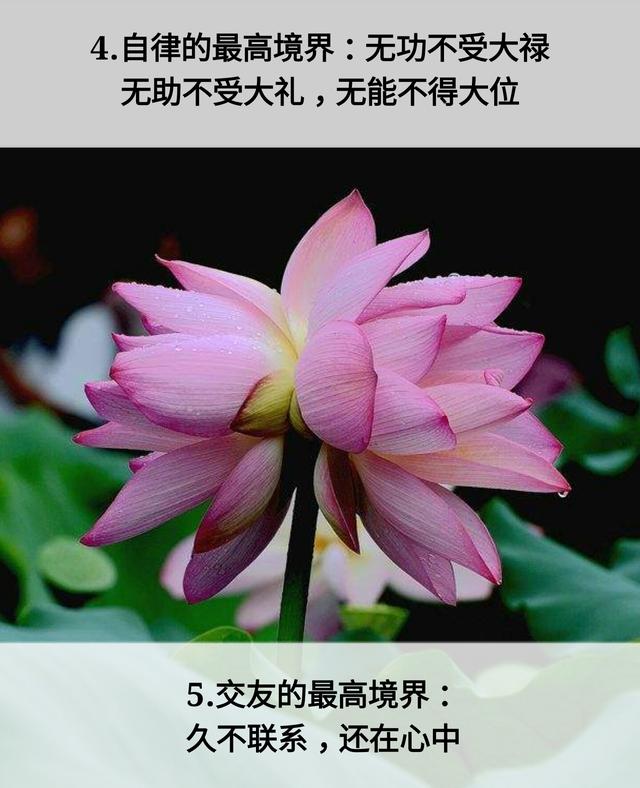 人生：7层次，7道坎，7恩人，7觉悟，7境界