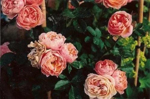 做人如水（写的真好）