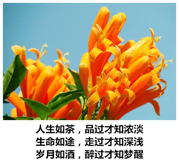 生活有苦有甜，爱情有闹有和，心情有悲有喜，日子有阴有晴