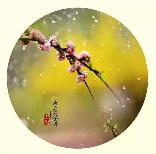 人，糊涂点挺好...