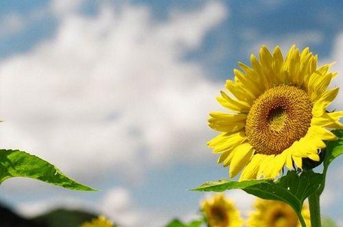 一些充满正能量的经典语录