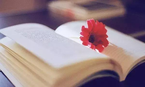 还未细算,人生已过半 还未细算,人生已过半