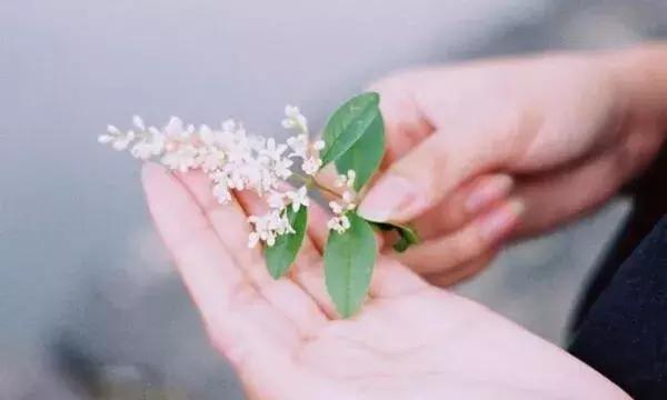 此文，送给不懂珍惜的人