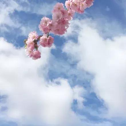 一沙一世界，一花一天堂，无限掌中置，刹那成永恒