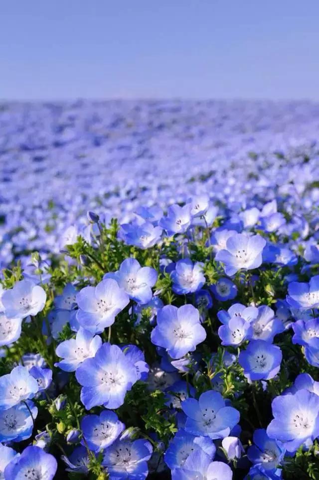 你知道别人为什么喜欢你吗？