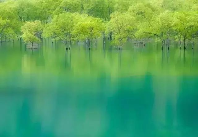 生活，浓淡相宜；人心，远近相安