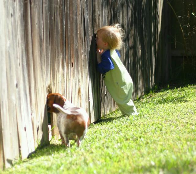 幽默有趣的唯美语录,富有哲理发人深思 幽默有趣的唯美语录,富有哲理发人深思