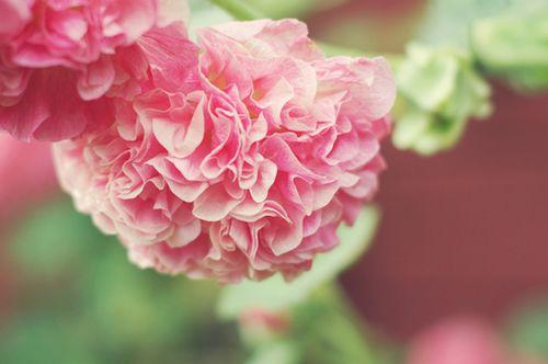 世界如沙，心若不动，风又奈何；情若不伤，岁月无恙