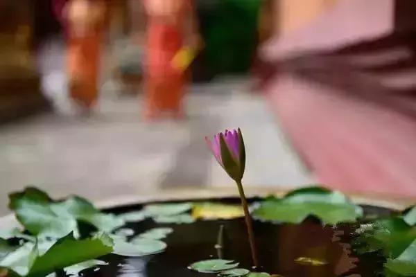 我会好好珍惜,真心和我相处的人