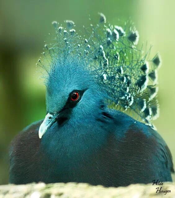 坦然面对人生的悲与欢