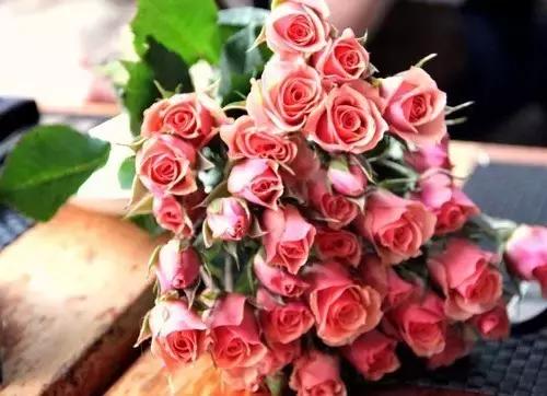 一生何求?(醒脑好文) 一生何求?(醒脑好文)