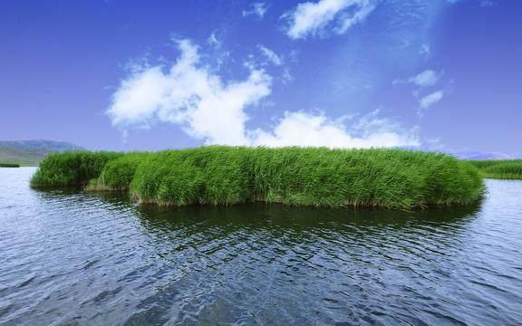 最精辟的十句佛语人生哲理语录,句句经典透彻 最精辟的十句佛语人生哲理语录,句句经典透彻