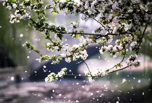 时光清浅,岁月静好 时光清浅,岁月静好