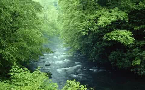 过去的事情不放，容易伤心