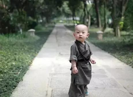 人，笨一点挺好，太计较会累