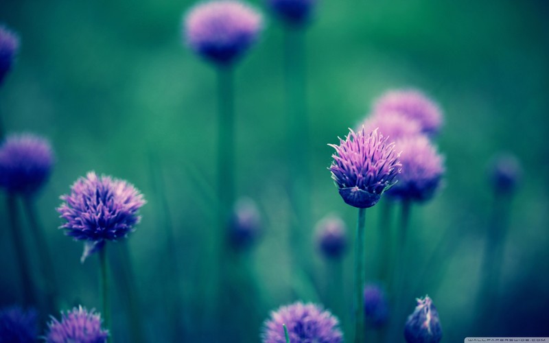 回眸时，最怕人擦肩；寻觅里，最恨情无踪