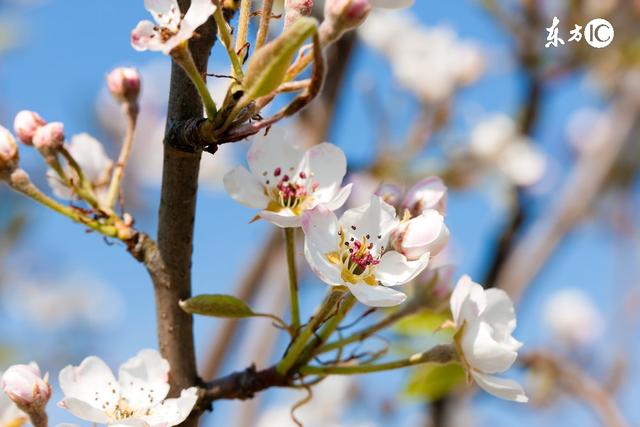 关于人的经典语录