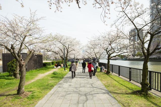 当今社会,是适者生存的社会 当今社会,是适者生存的社会