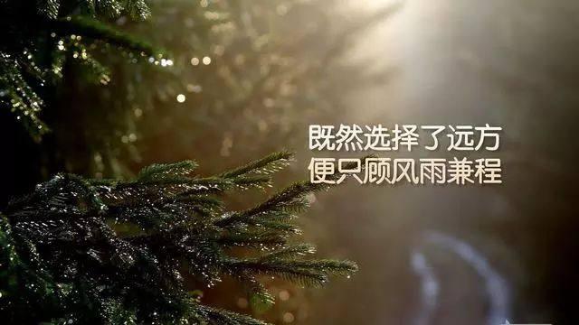 18句关于人生感悟的句子