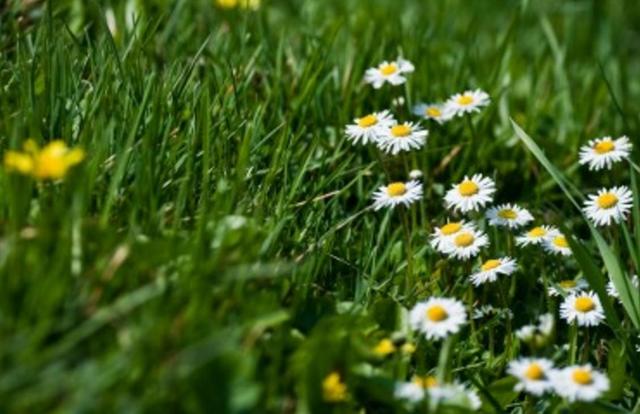 学会放弃，不是放屁（精辟）