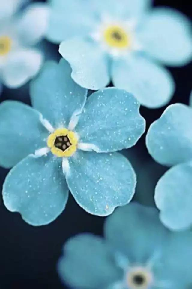 你知道别人为什么喜欢你吗？