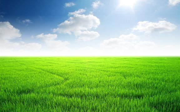 人生感悟的句子简短的，句句精辟现实