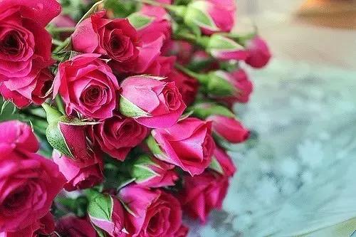 一生何求?(醒脑好文) 一生何求?(醒脑好文)