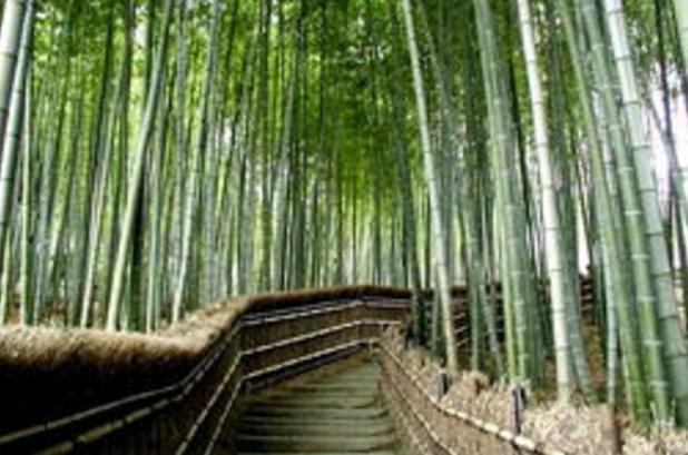 人生，有两条路要走