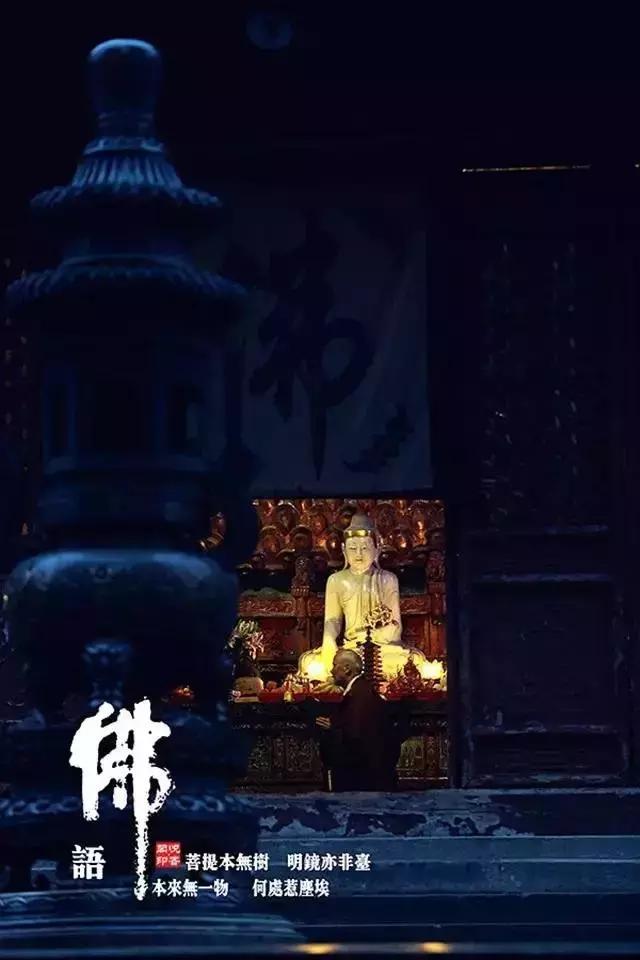 仓央嘉措的回声: 你的心,在污泥里开出一朵莲花 仓央嘉措的回声: 你的心,在污泥里开出一朵莲花