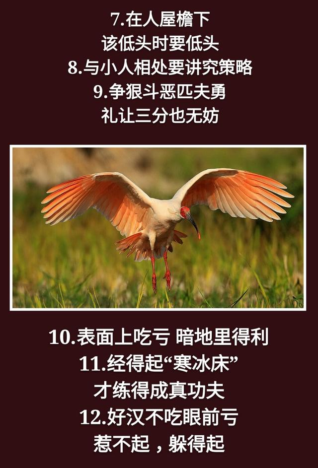 为人处事：一孝，二忍，三稳，四藏，五变，六防，七退