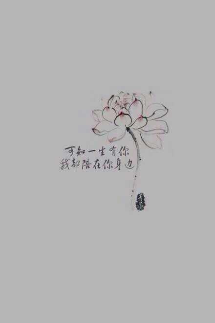 有哲理的微信语录