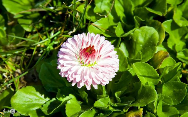 真正聪明的人，往往朋友都不多，太现实了