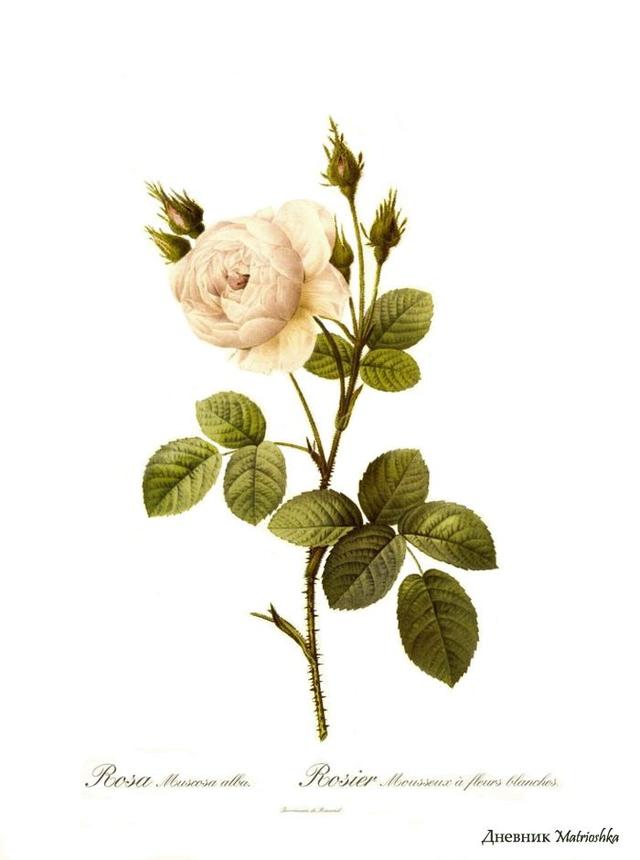 20条非常精辟的一句话经典语录,句句大实话 20条非常精辟的一句话经典语录,句句大实话