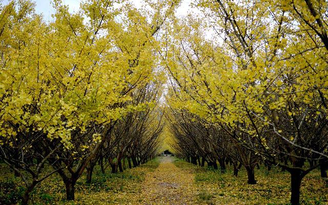 拒绝这件事,越简单越好 拒绝这件事,越简单越好