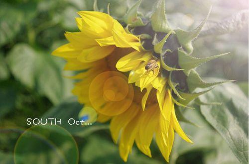 朋友圈里最火的人生感悟语录