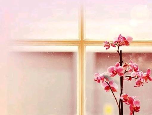 qq空间感悟人生的图片说说短语 qq空间感悟人生的图片说说短语