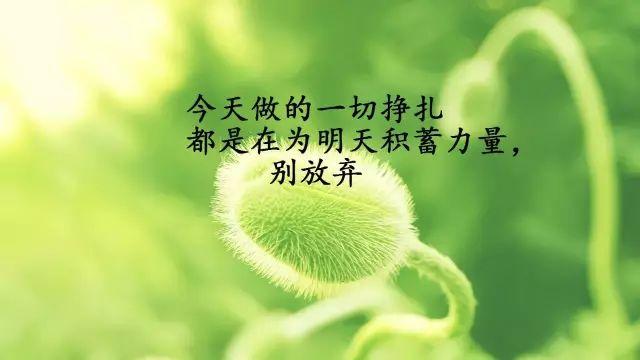激励人积极向上的正能量经典语录，人生这一路，可以哭但不能怂
