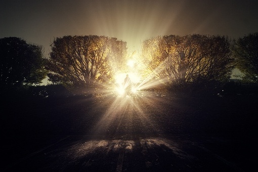 奋斗的火苗在冒发,碰触那心的温度 奋斗的火苗在冒发,碰触那心的温度